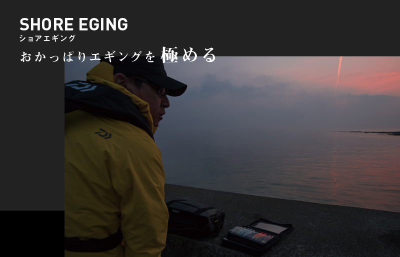 SHORE EGING ショアエギング おかっぱりエギングを極める